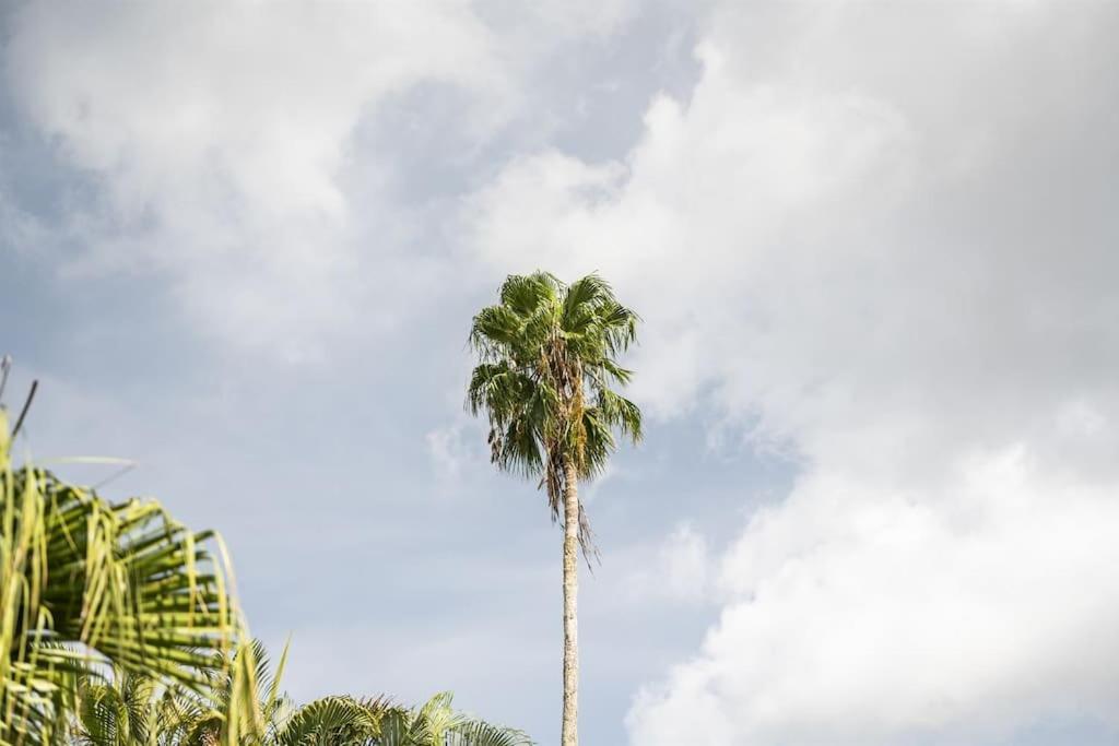 Aparthotel Bay Breeze South Bradenton Exterior foto